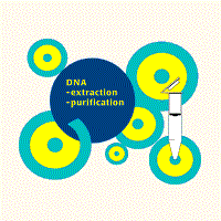 RNA and DNA extraction